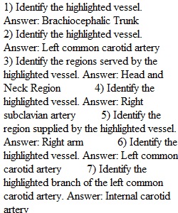 Lab Assignment 3